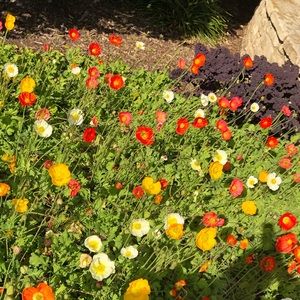 Meet your Posher, Tania